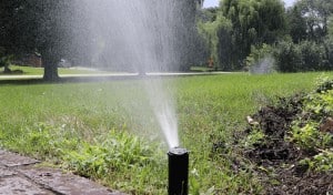 How To Water Lawn Without Sprinkler System: 4 Best Ways