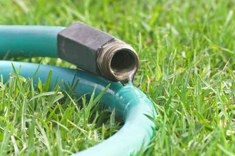 4 Best Ways To Water Your Lawn Without A Sprinkler System