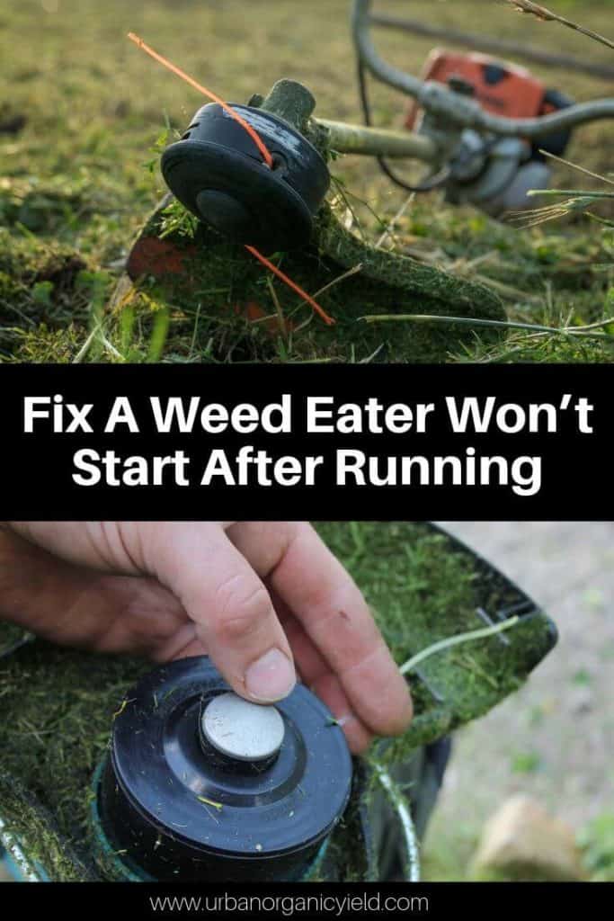 8 Reasons Why A Weed Eater Won T Start How To Fix It