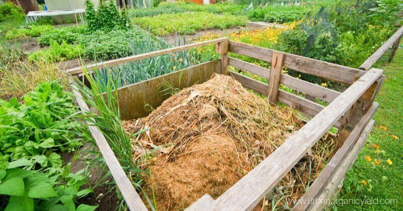 grow watermelons hanging...genius! to make - crafts