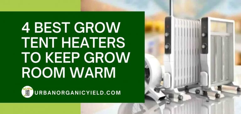 DIY Grow Tent: 11+ Easy Yet Inexpensive Grow Box Ideas