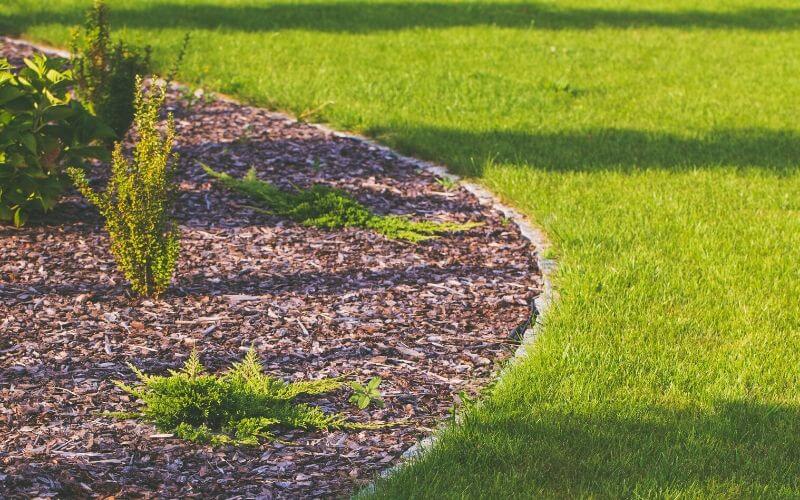 Use correct borders and edging