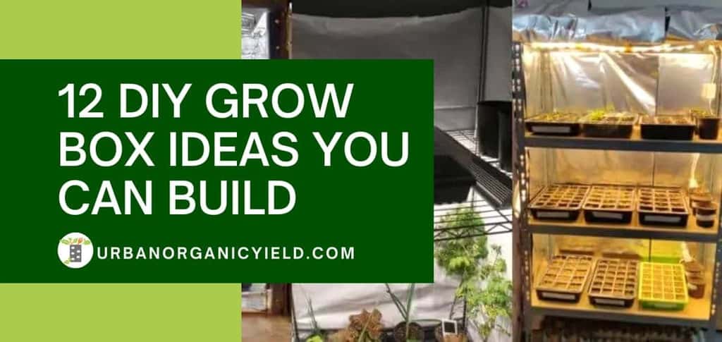 Diy Grow Tent: 12 Easy Yet Inexpensive DIY Grow Box Ideas You Can Build | UrbanOrganicYield.com