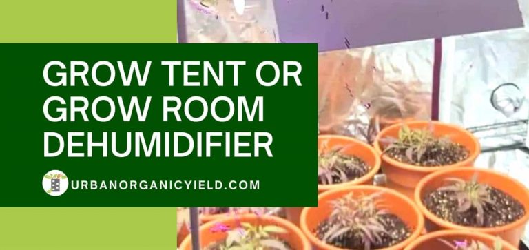 DIY Grow Tent: 11+ Easy Yet Inexpensive Grow Box Ideas