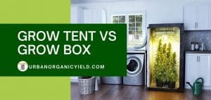 DIY Grow Tent: 11+ Easy Yet Inexpensive Grow Box Ideas