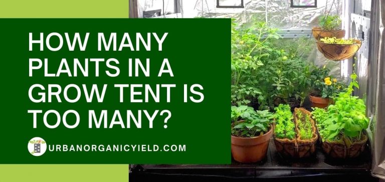 DIY Grow Tent: 11+ Easy Yet Inexpensive Grow Box Ideas