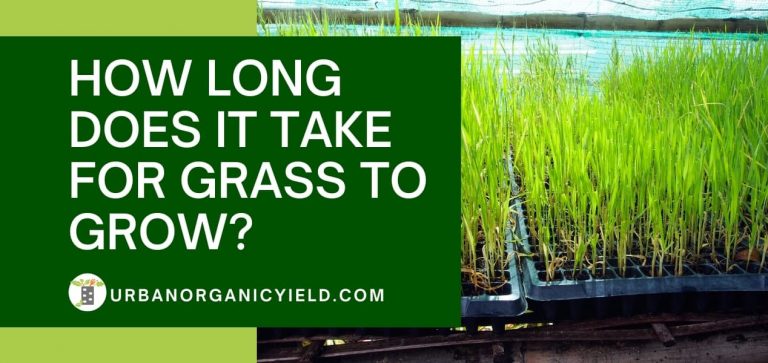 urbanorganicyield.com simple, helpful gardening tips