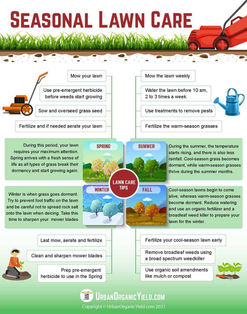 seasonal-lawn-care-guide-urbanorganicyield