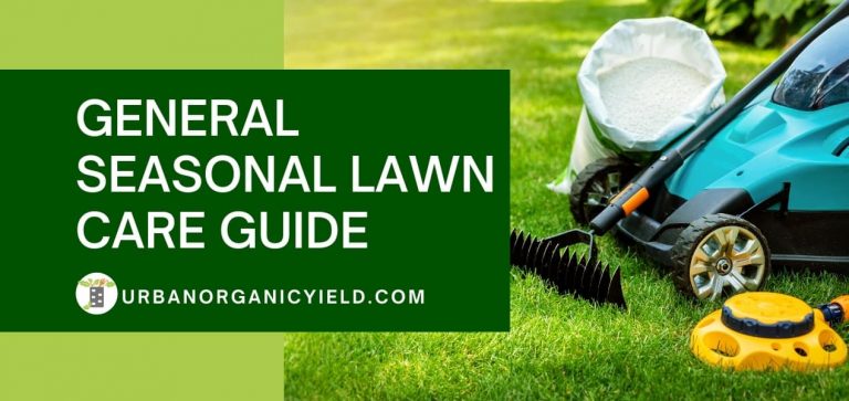 Seasonal Lawn Care Guide | UrbanOrganicYield.com